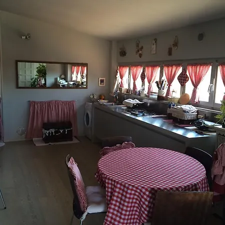 Rinidia - Celso Cittadini * سيينا